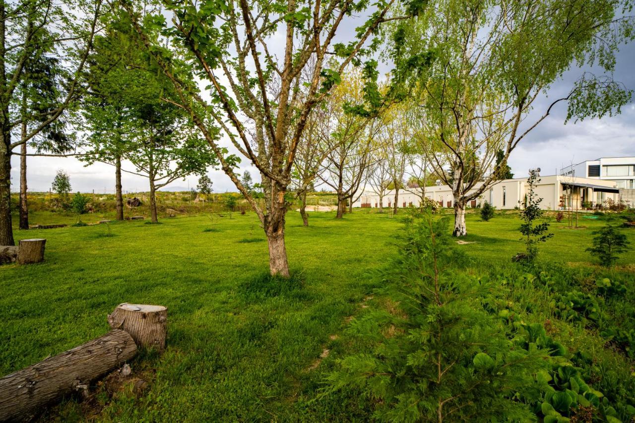 Quinta Chao Da Bispa โอลีเวราดวสปิตาล ภายนอก รูปภาพ